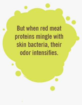 Red Meat Can Release Odorless Proteins Through Perspiration #6950051