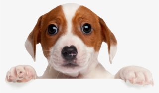 06 Jul 2018 #6950394