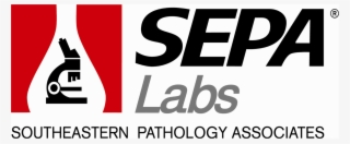 Pay Now Png #6952200