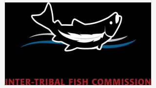 River.png #6953035