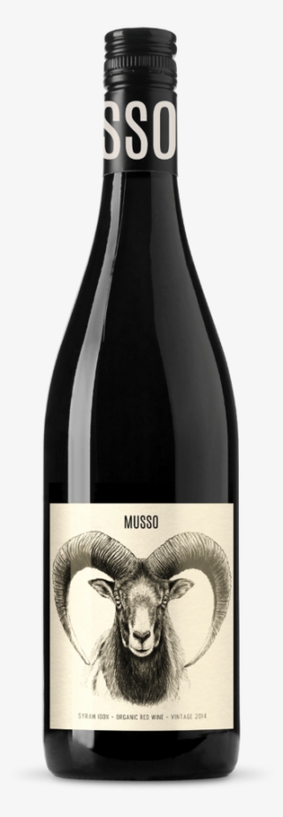 Musso Syrah Vino Tinto, Vino De España, Botellas De #6954557