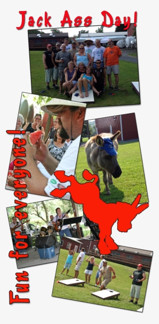Jack Ass Side Banner #6959084