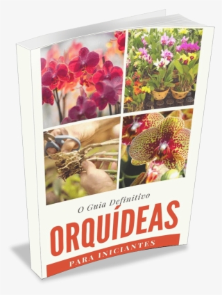 Baixe Agora Mesmo O Manual De Orquídeas Guia Definitivo #6960438