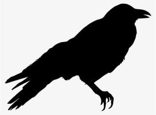 Download Png #6961850