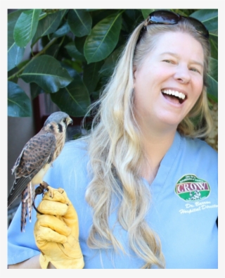 Crow 50th Anniversary #6962337