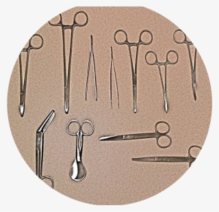 Hand Stamp Png #6963016