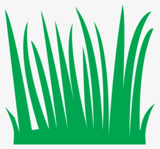 Imagem Gratis No Pixabay Grama Verde Natureza #6964916