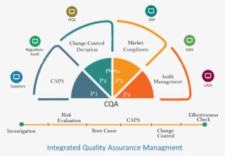 Enterprise Wide Quality Assurance Management & Metrics #6965015