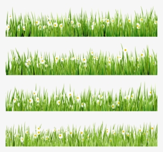 Флора, Зеленая Трава, Green Grass #6965017