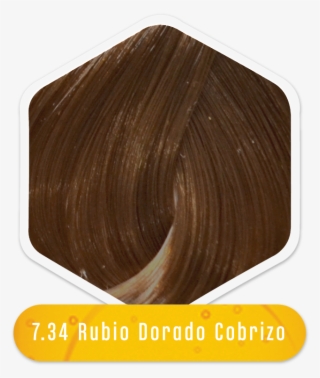 Rubios Y Dorados #6967085 Rubios Y Dorados #6967085