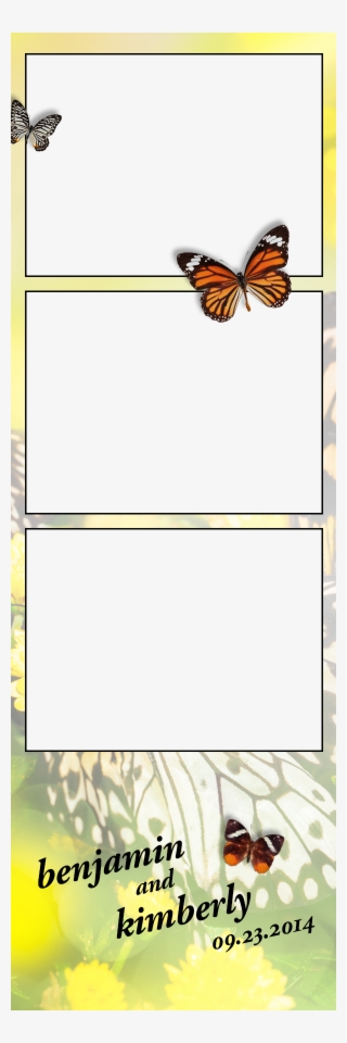 Spring Butterflies #6967714