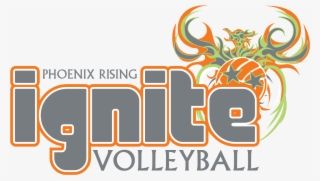 Ignite Developmental Youth Program #6968510