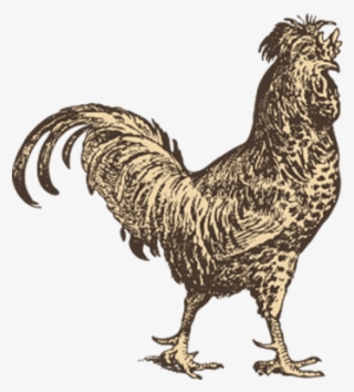 Poultry #6969017