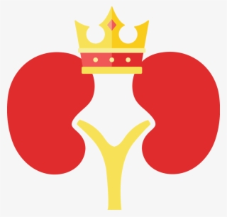 Svg Free Library Kidney Clipart Nephrologist #6969575