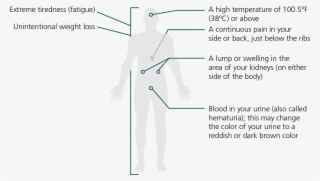 Signs & Symptoms #6969812