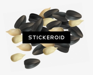 Sunflower Seeds Fruits Nuts #6972911