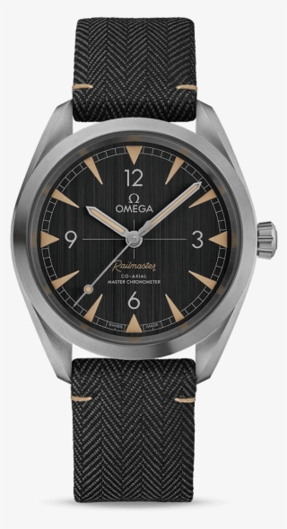 Railmaster Omega Co-axial Master Chronometer 40 Mm #6973819