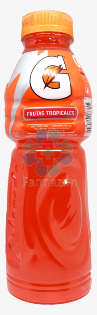Frutas Tropicales Png #6975795