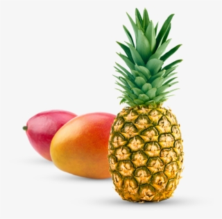 Frutas Tropicales #6976214