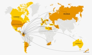 La Ejecución Profesional Y Las Mejores Recomendaciones #6976479