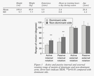 Physical Characteristics And Experience Of Volleyball #6977082