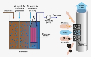To Announce The Appearance Of A Completely New For #6977777