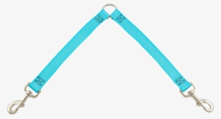 Two Dog Walking Attachment #6979873