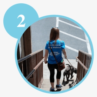 Small Pupwalkr Step 2 #6980136