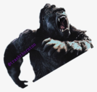 King Kong Logo Png #6980332