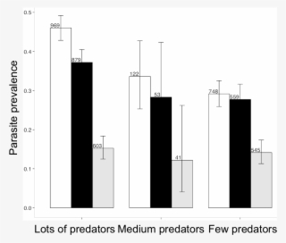 Where There Are Lots Of Predators, Female Guppies Shoal #6980615