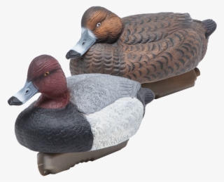 Final Approach Hd Floating Redhead Decoys #6981312