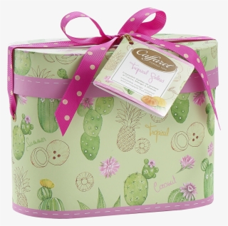 Oval Gift Box #6983720