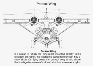 Parasol #6990733