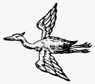 Details, Png #6990894