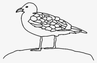 Gaviota-dibujo #6991161