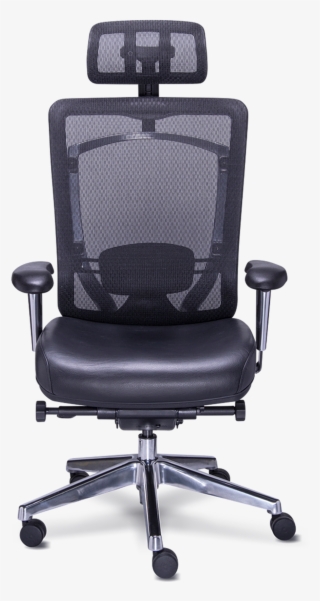 Ejecutivo/rp 7050 Main #6991359