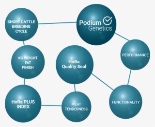 2018 Hora Höfig Ramos #6991793