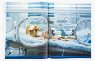 Damien Hirst Beyond Belief Signed Catalogue #6992717