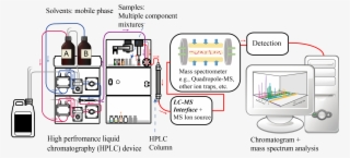 Liquid Chromatography Tandem Mass Spectrometry Diagram #6993245