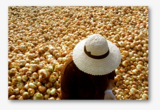 Un Domingo Con Mamá En El Monumento Al Campesino #6994155