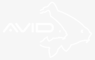 Carp Png #6994353 Carp Png #6994353