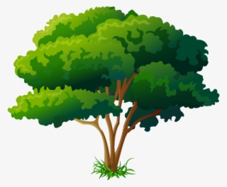 Arbre Png #6996006