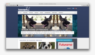 Perritos Png #6996237