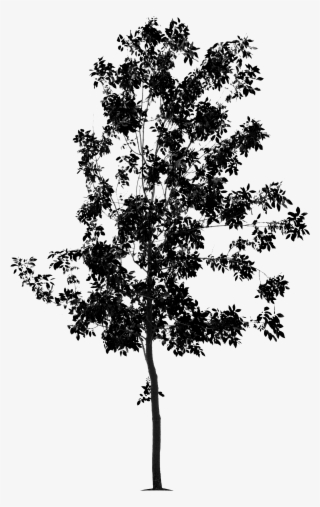 Partager Via Un Média Social #6996293