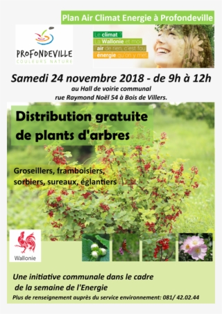 Arbre #6996354