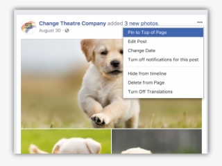 Click Pin To Top Of Page And The Post Will Reappear #6996587