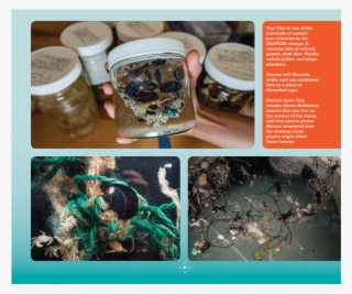 Plastic Ahoy Page #6997624