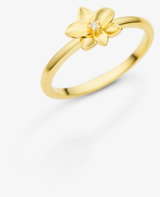 Passe O Mouse Para Ampliar #6997669