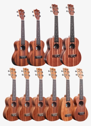 Student Ukuleles #6998948