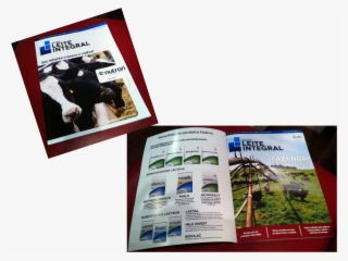 Tag - Anúncio #6999971